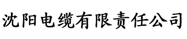 nc1.app网址电缆厂logo